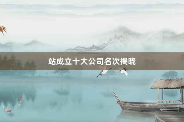 站成立十大公司名次揭晓