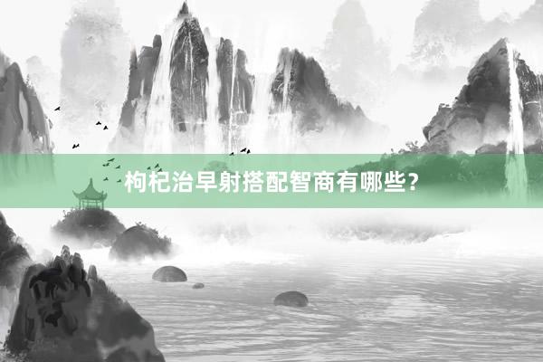 枸杞治早射搭配智商有哪些？